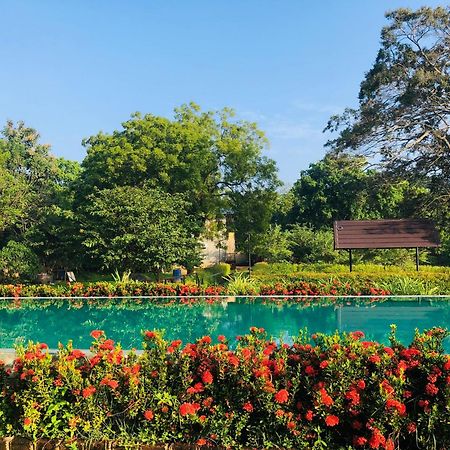 Lolu Village Resort Анурадхапура Экстерьер фото
